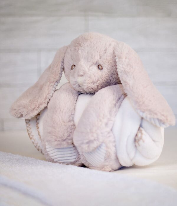 Rabbit and blanket Thumbnail