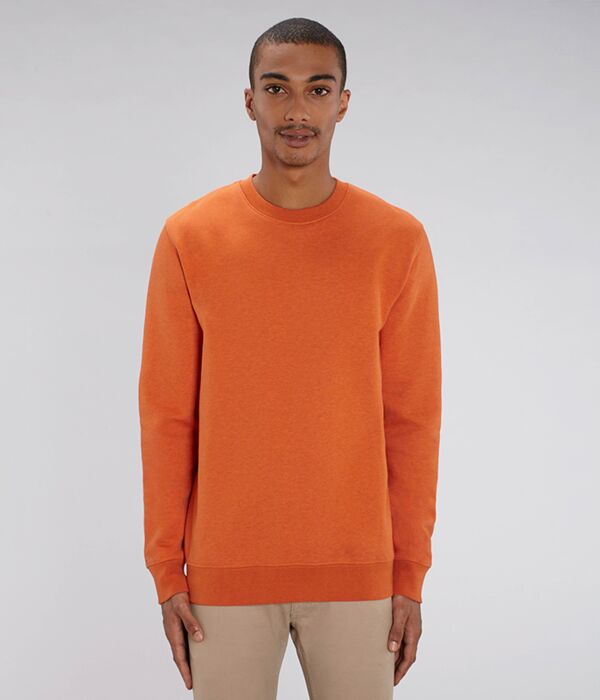 Unisex Changer iconic crew neck sweatshirt (STSU823) Thumbnail