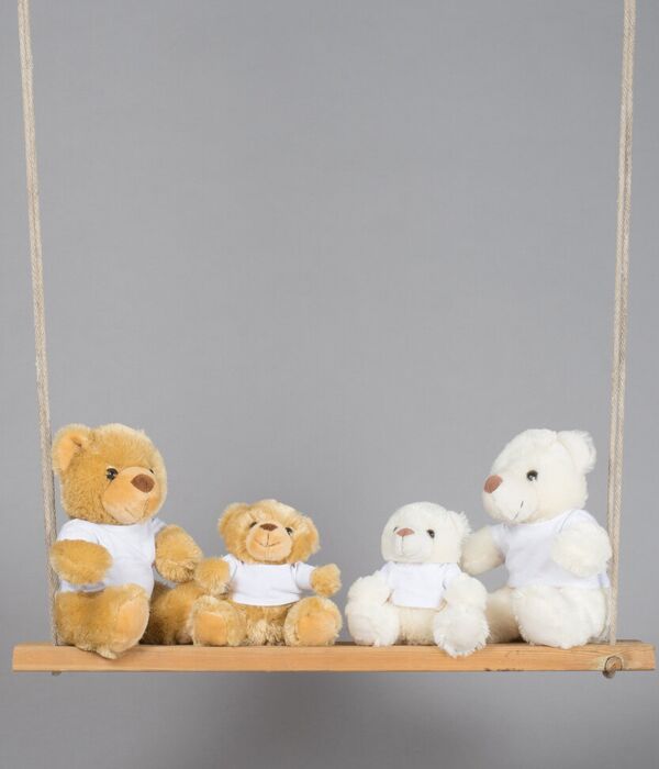 Bear in a t-shirt Thumbnail